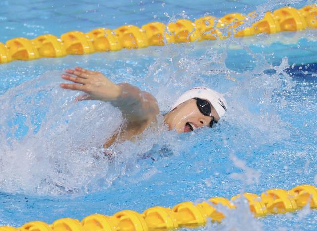 游泳争霸赛张雨霏100蝶夺冠 杨浚瑄打破亚洲纪录